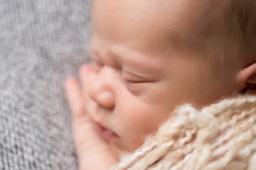 Newborn Baby Sleeping on Blanket