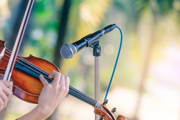Black color microphone and violin playing in outdoor concert.