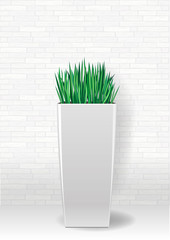 Decorative evergreen plant in a garden pot in vector graphics on a light background