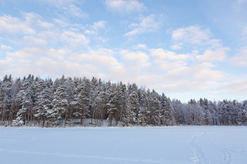 Frozen lake and snow covered forest