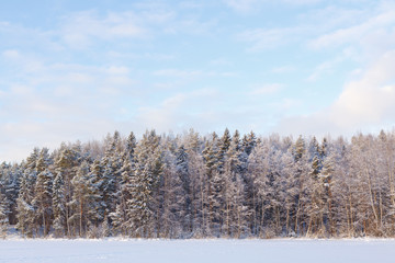 Frozen lake and snow covered forest