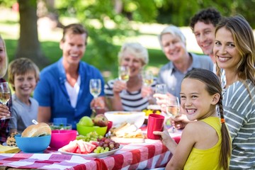 Family and friends having a picnic