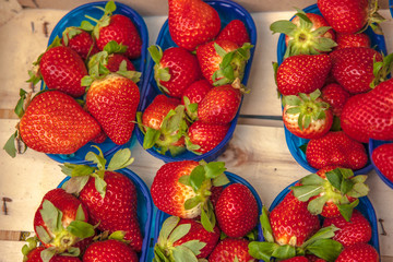 Strawberries at the market