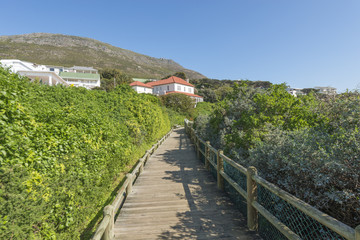 Fototapeta na wymiar Boulders Beach, penguin habitat in Simons Town, close to Cape Town South Africa