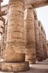 A sandstone column in Egypt.  columns covered in hieroglyphics