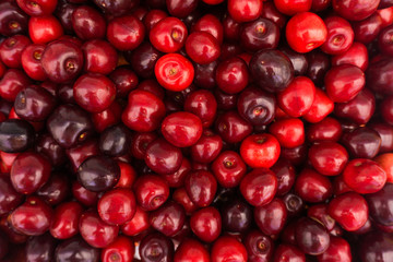 Red Cherries. Cherry selection
