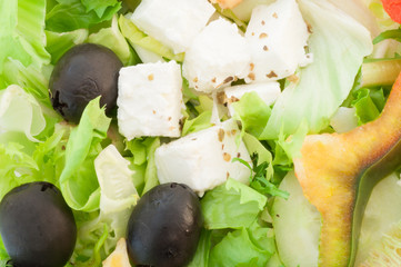 macro of fresh greek salad