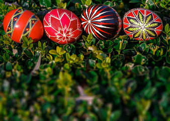 Easter theme. painted Easter eggs on a green background. Happy Easter