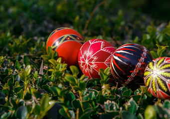  painted Easter eggs on a green background.