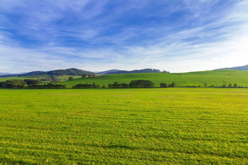 Spring beautiful landscape