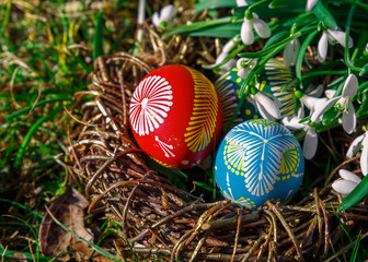  painted eggs in the nest and snowdrops