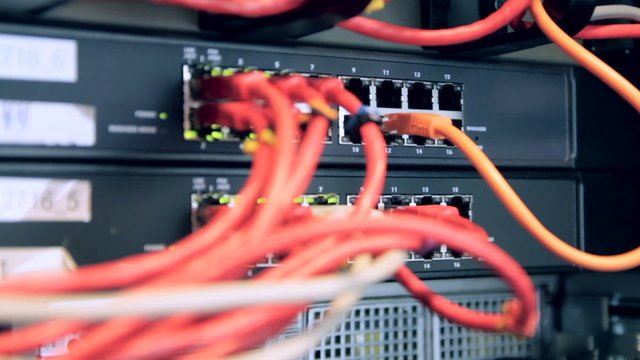 IT technician insert network cable into switch