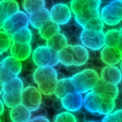 Abstract bacteria cells seamless texture or background