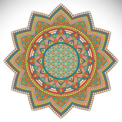 Vector indian Mandala