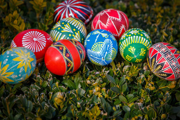  painted Easter eggs on a green background.