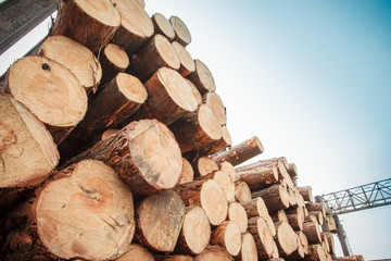 logs stacked sky