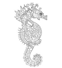 Hand drawn doodle outline seahorse