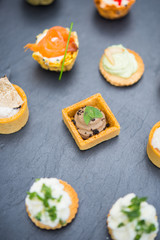 Assortment festive appetizers