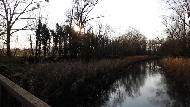 Altrhein bei Russheim Dettenheim