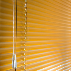 window blinds closed