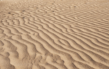 Maspalomas dunes in Gran Canaria
