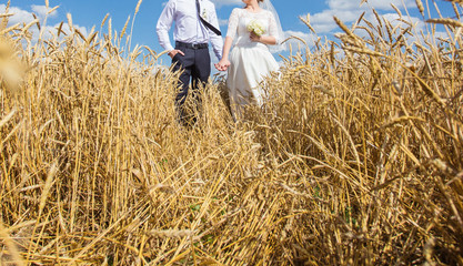 Naklejka na ściany i meble young beautiful wedding couple hugging in a field with grass eared. Retro colour