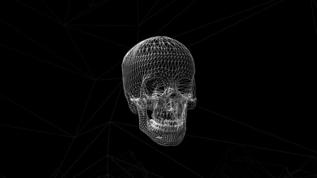 Skull 3d wireframe