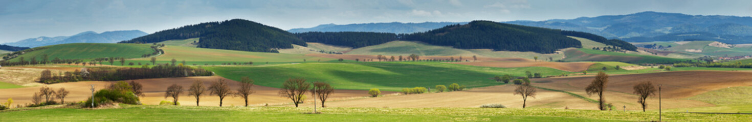Fototapeta na wymiar Green spring hills in Slovakia. April sunny countryside panorama