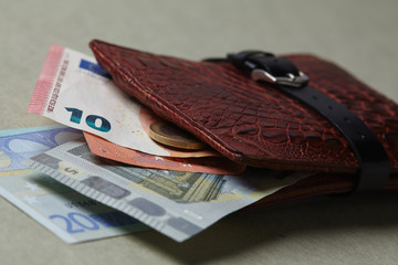wallet with money