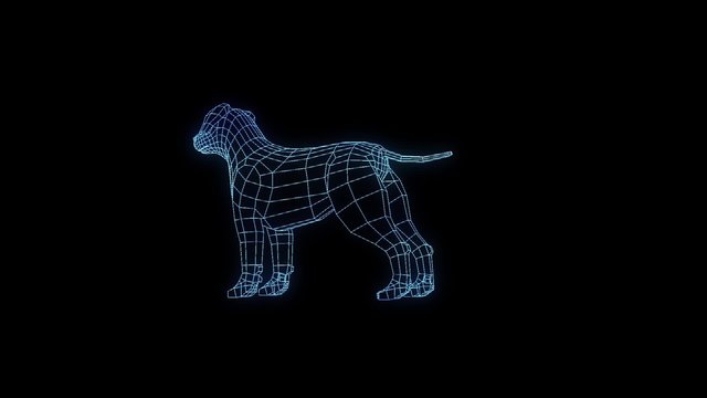 Dog Nice Hologram Animation
30FPS