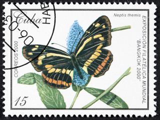Fototapeta na wymiar CUBA - CIRCA 1989: A stamp printed in Cuba shows butterfly Neptis themis, series Butterflies, circa 1989. 