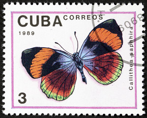 CUBA - CIRCA 1989: A stamp printed in Cuba shows butterfly Callitthea saphhira, circa 1989