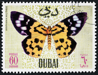 DUBAI - CIRCA 1968: A stamp printed by Dubai, shows Butterflyv, Circa 1968