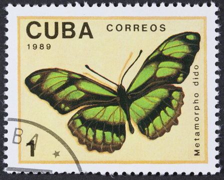 CUBA - CIRCA 1989: A Stamp printed in CUBA shows image of a metamorpho dido butterfly, circa 1989