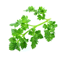 Fresh parsley