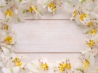 Frame of white and yellow alstroemeria flowers