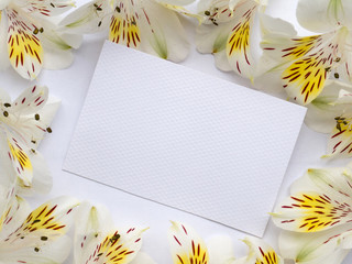Blank greeting card in the flowers frame