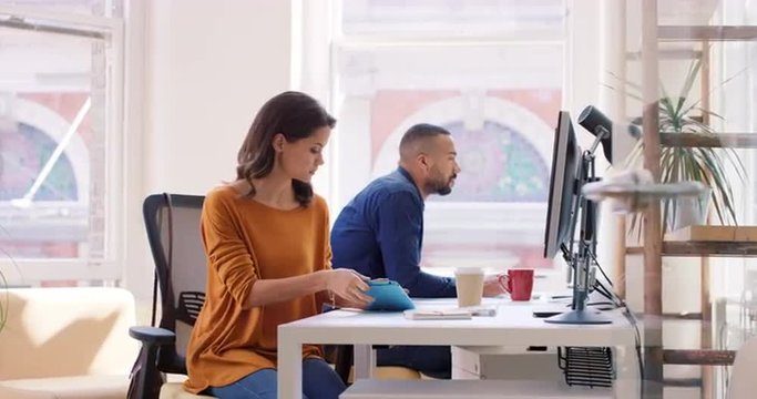 Mixed Race Team Of Young Business People Working In Open Plan Office Desk Rows Of Computers In Shared Workspace Bright Natural Light