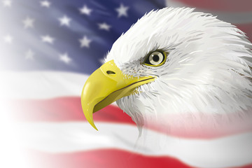 Bald Eagle on US flag