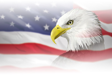 Bald Eagle on US flag illustration