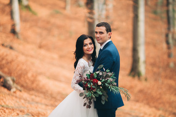 Gorgeous bride, groom kissing and hugging near the cliffs with stunning views