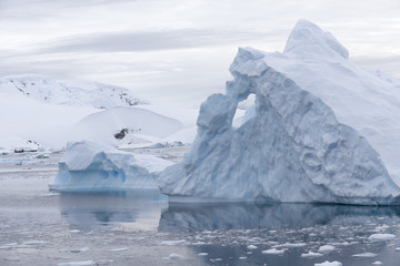 Fototapeta na wymiar Iceberg at Curtis Bay, Antarctica.