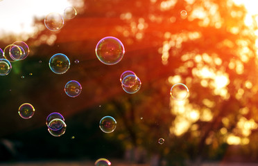 soap bubble in the last sunshine of the day.summer bokeh