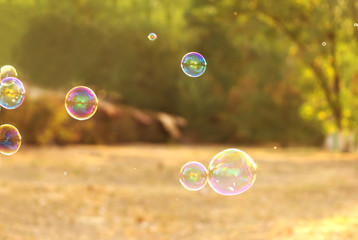  soap bubble on the summer background . beautiful bokeh