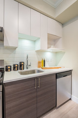 Modern, bright, clean, kitchen interior with stainless steel appliances in a luxury house