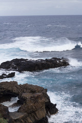 The Wild Coast of Barlovento