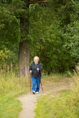 Fototapeta premium An elderly woman is engaged in Nordic walking in the nature.