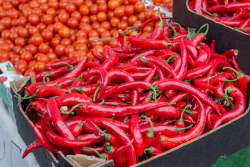 Red Hot Chili Peppers