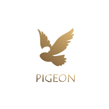Unique concept. Golden pigeon logo. Pigeon bird abstract vector logo design template. 