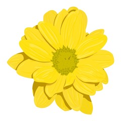 Simple yellow flower with shadow